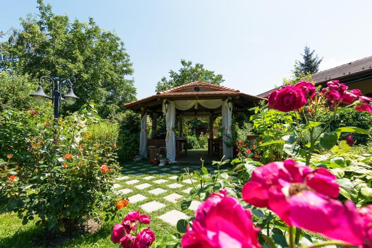 Hotel Bielmann Sînpetru Exteriör bild