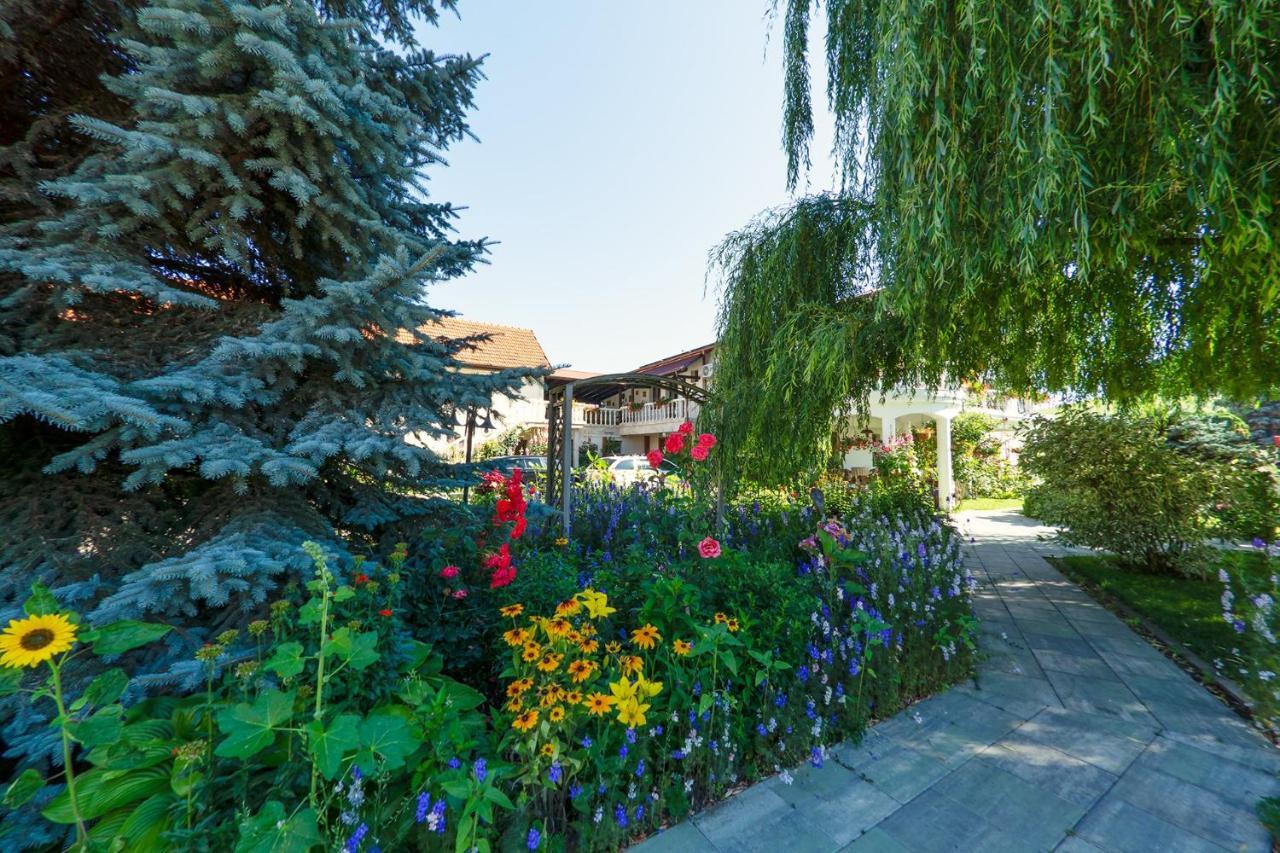 Hotel Bielmann Sînpetru Exteriör bild